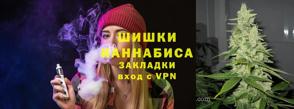 гидра Абаза