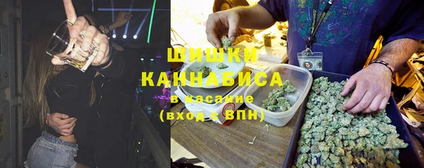 гидра Абаза