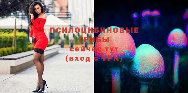 PSILOCYBIN Краснослободск