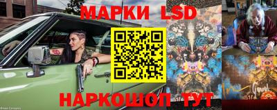стафф Надым