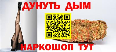 гидра Гагарин