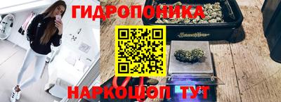 соль курить ск Гай