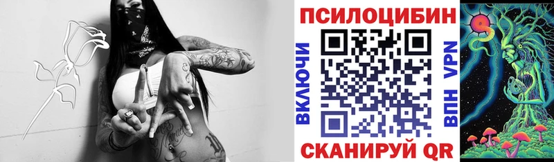 omg как зайти Златоуст Галлюциногенные грибы мицелий