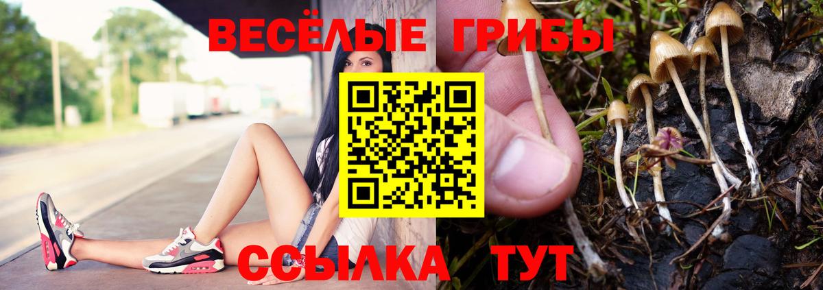 Псилоцибиновые грибы Magic Shrooms Златоуст